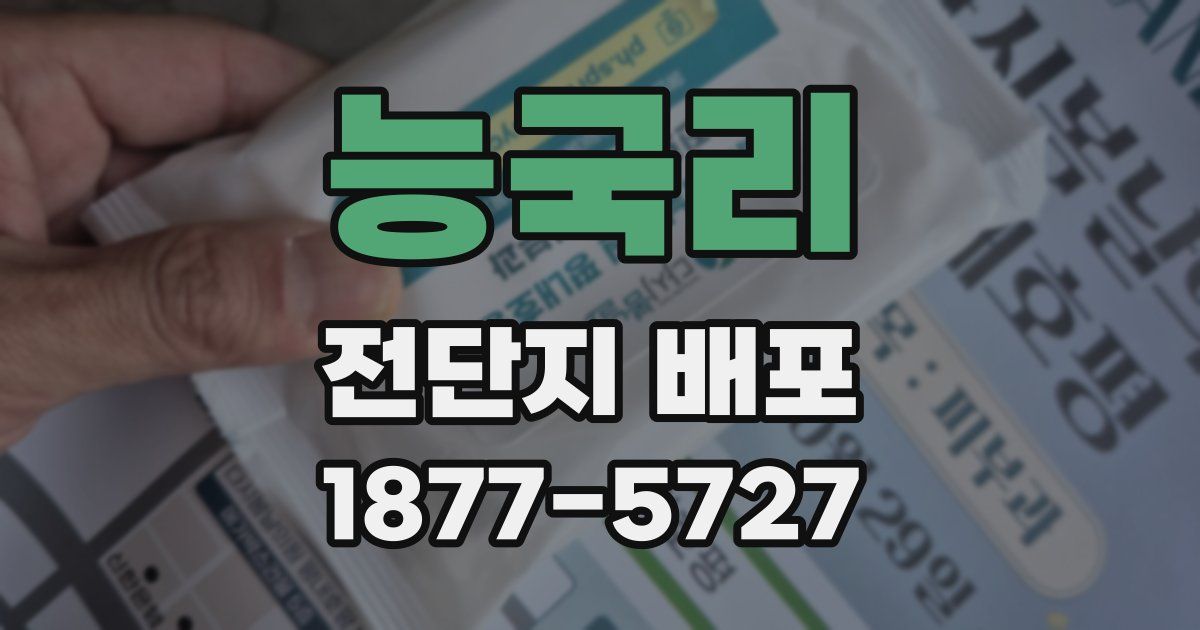 능국리 전단지 배포