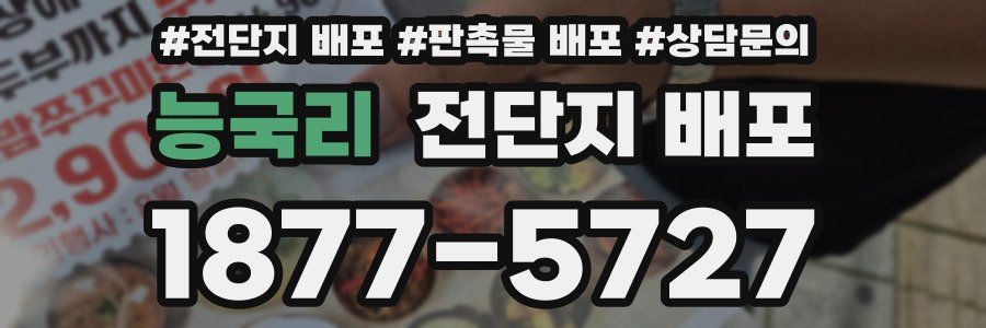 능국리 전단지 배포