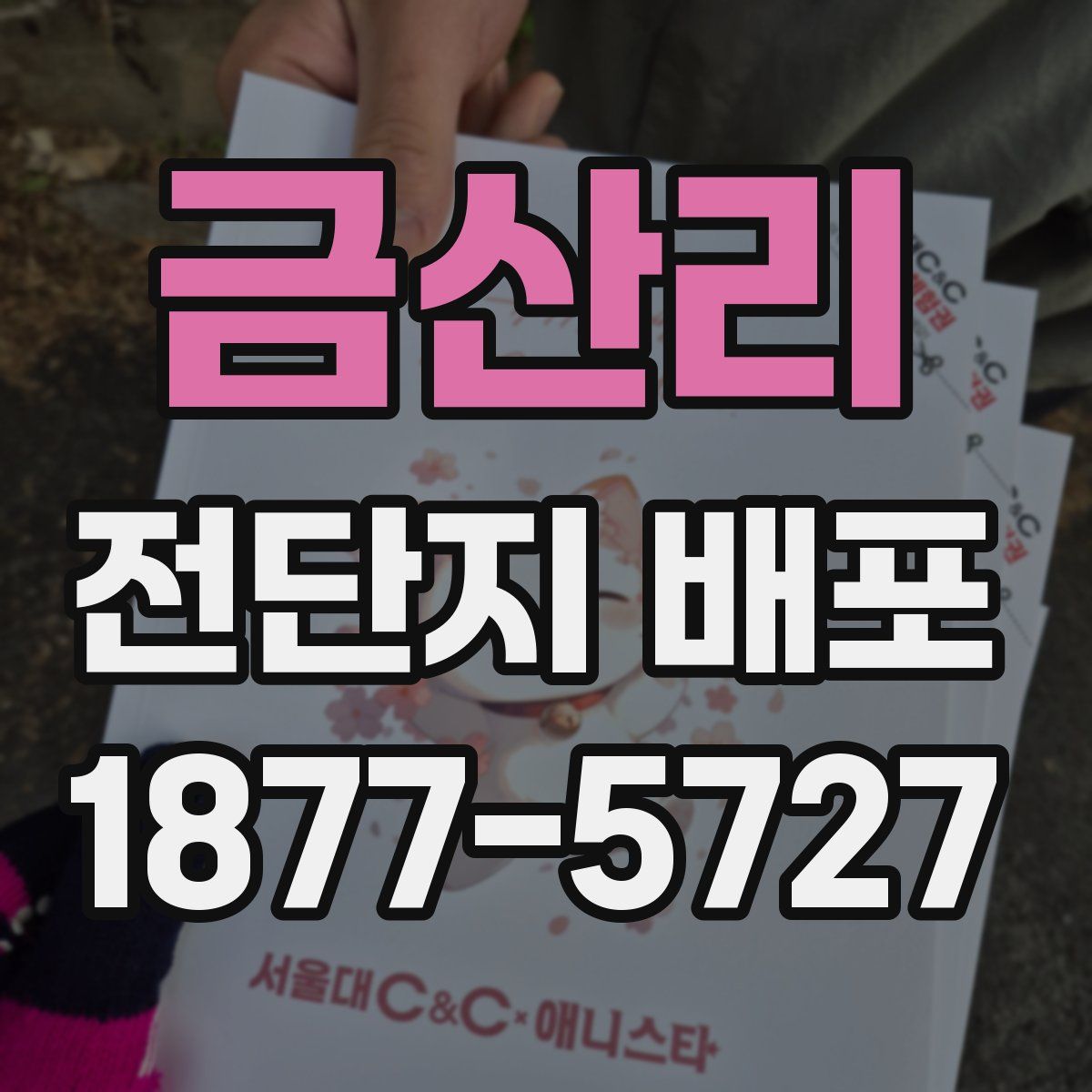 금산리 전단지 배포