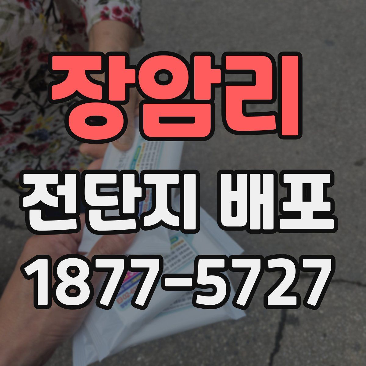 장암리 전단지 배포