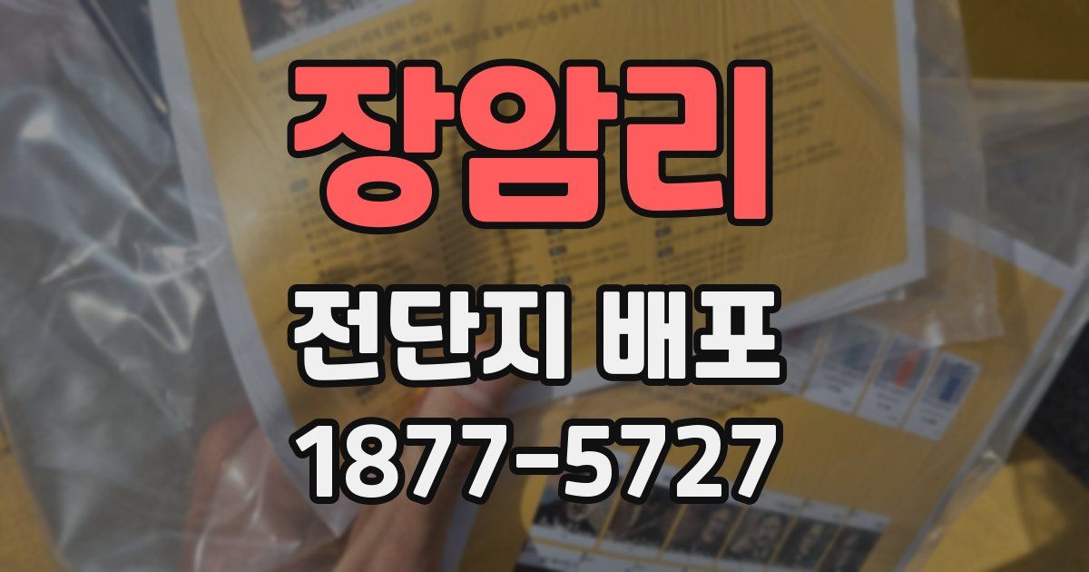 장암리 전단지 배포