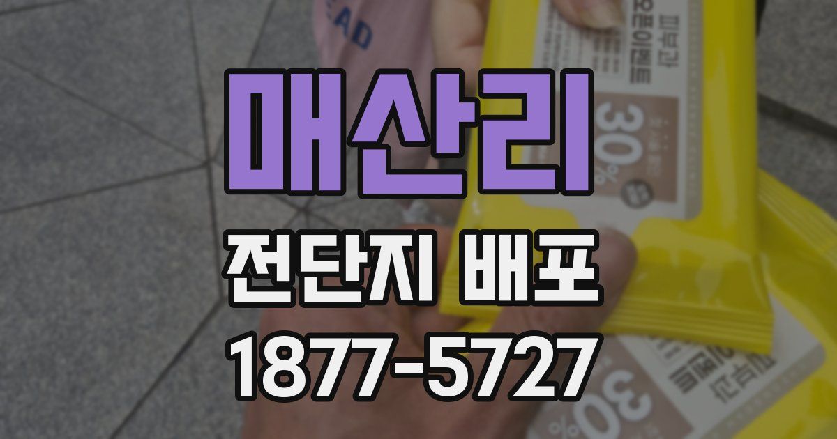 매산리 전단지 배포