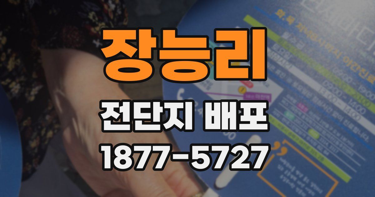 장능리 전단지 배포