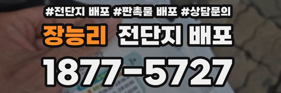 장능리 전단지 배포