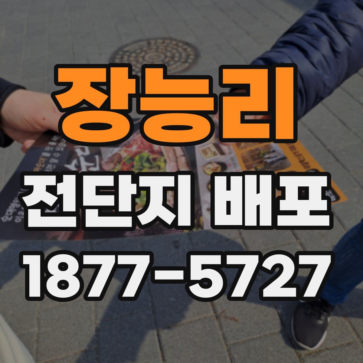 장능리 전단지 배포