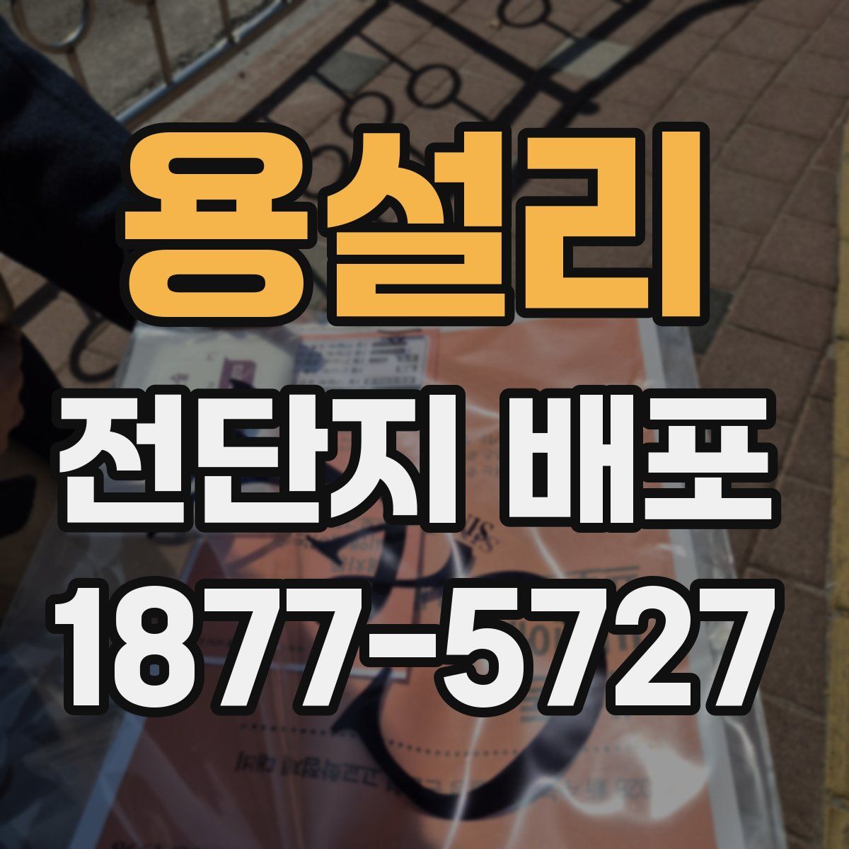 용설리 전단지 배포