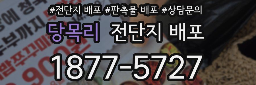 당목리 전단지 배포