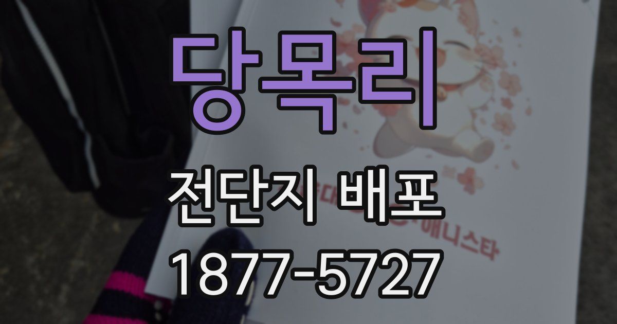 당목리 전단지 배포