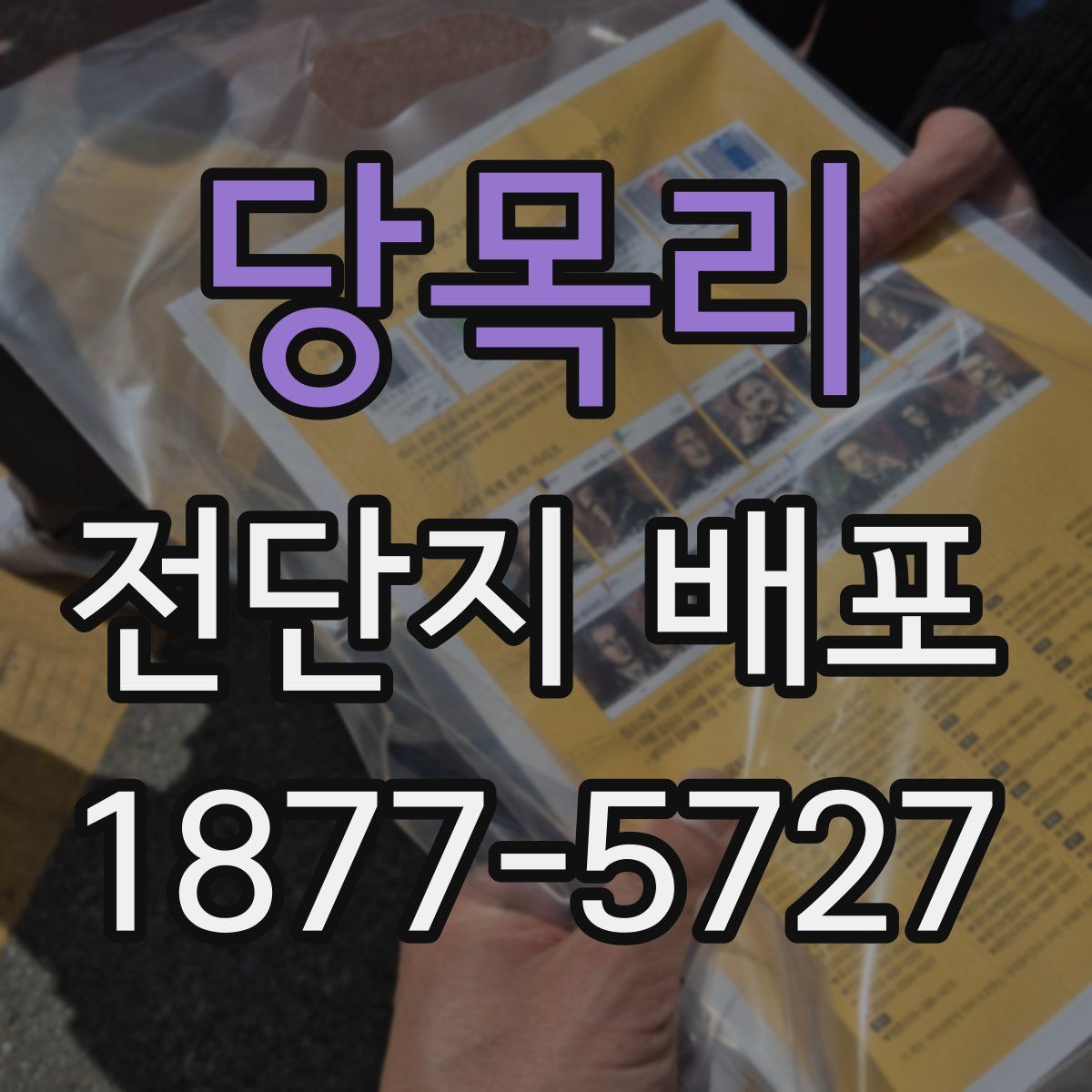 당목리 전단지 배포