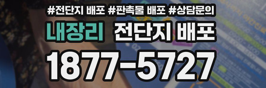 내장리 전단지 배포