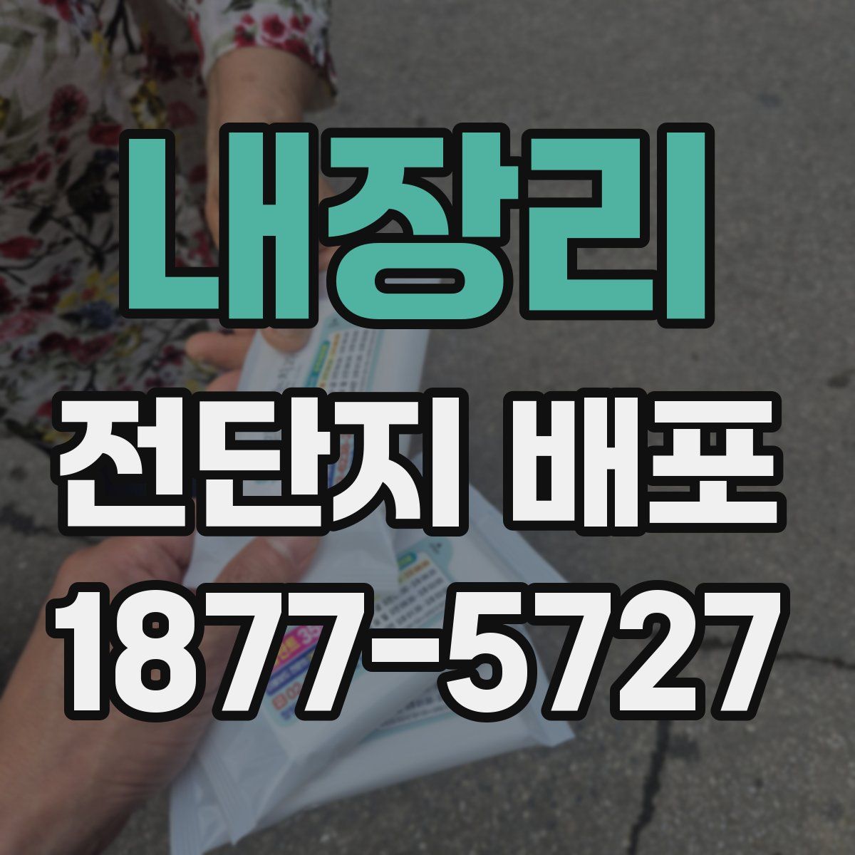 내장리 전단지 배포