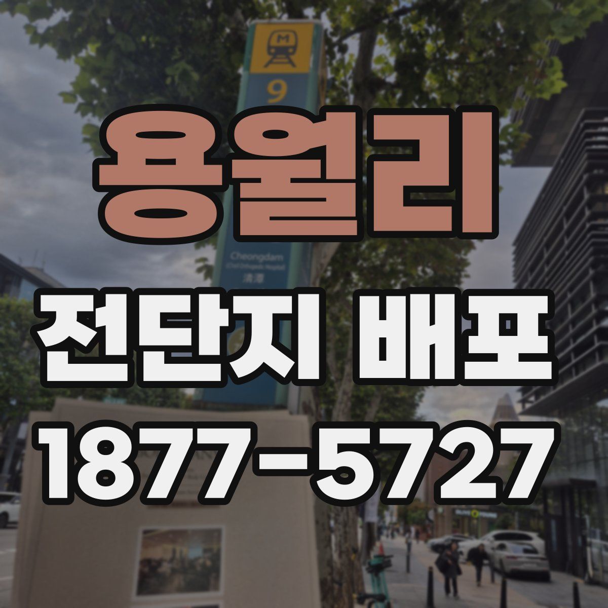 용월리 전단지 배포