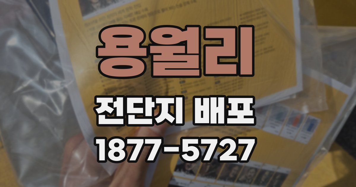 용월리 전단지 배포