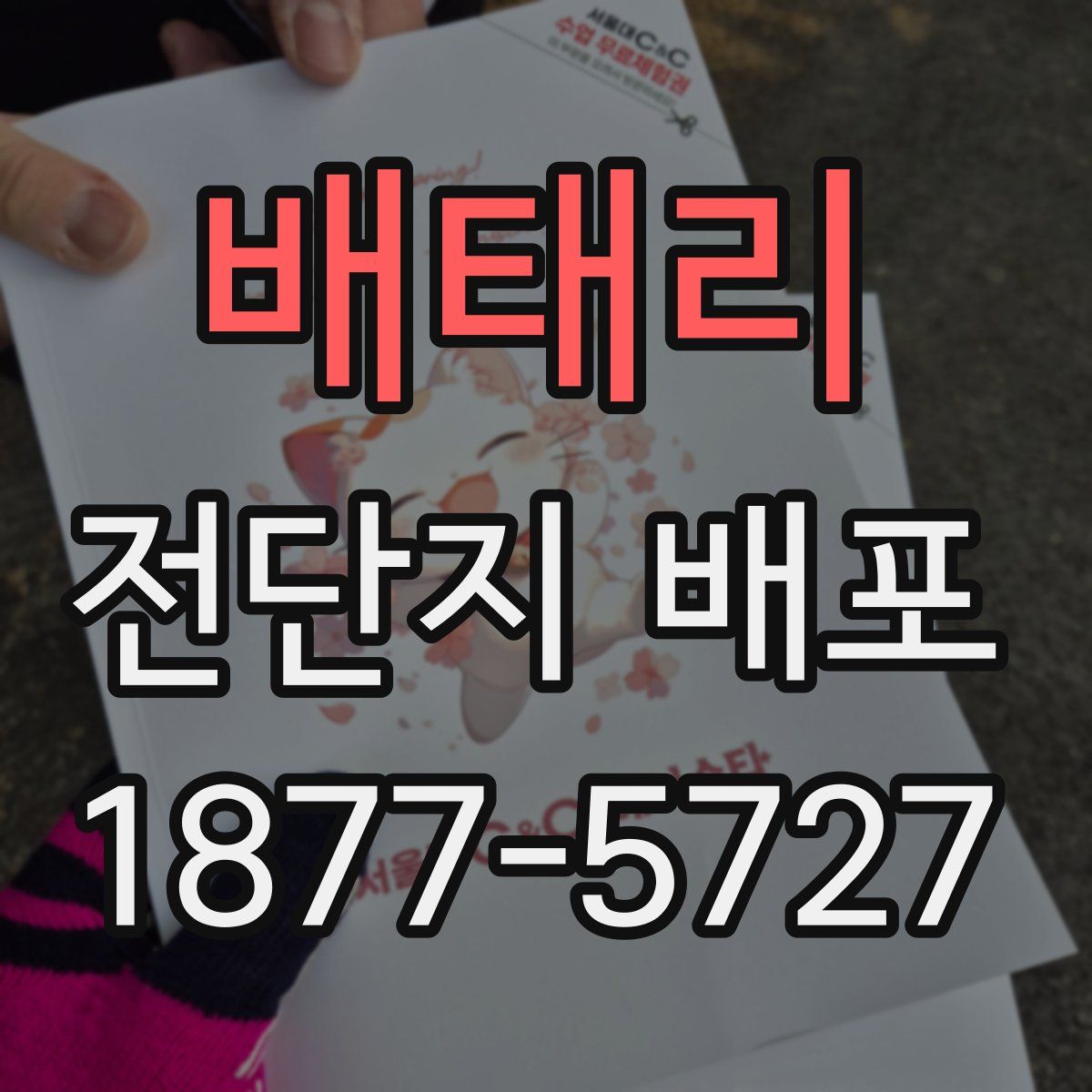 배태리 전단지 배포