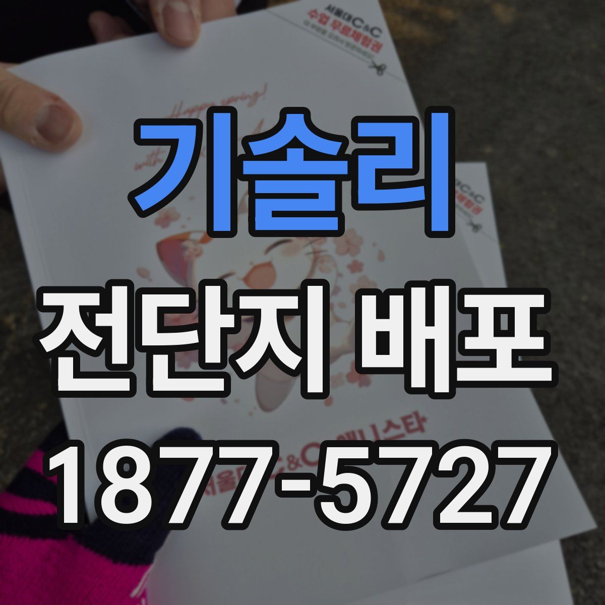 기솔리 전단지 배포