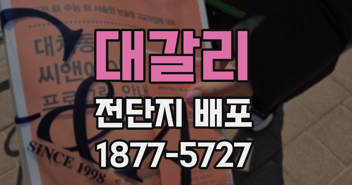 대갈리 전단지 배포