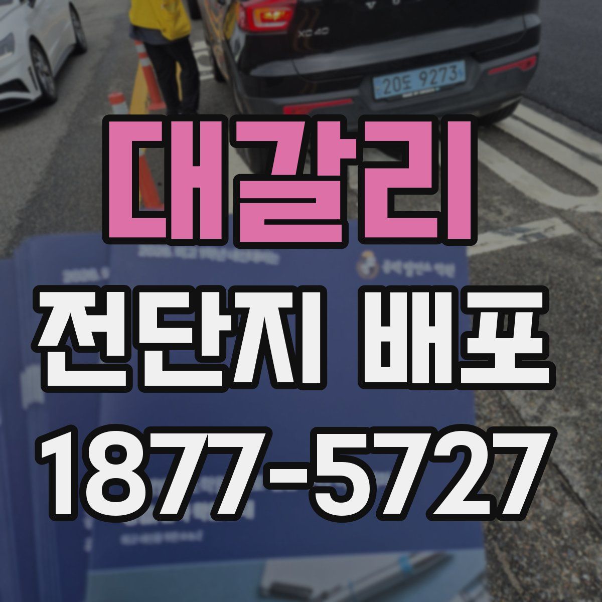 대갈리 전단지 배포