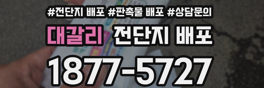 대갈리 전단지 배포