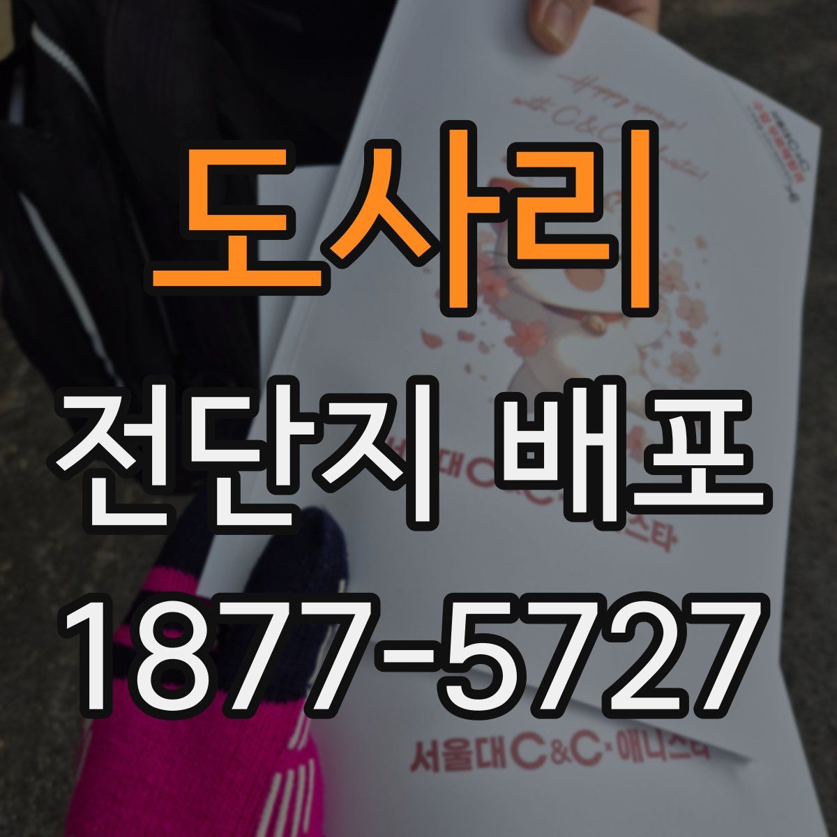 도사리 전단지 배포
