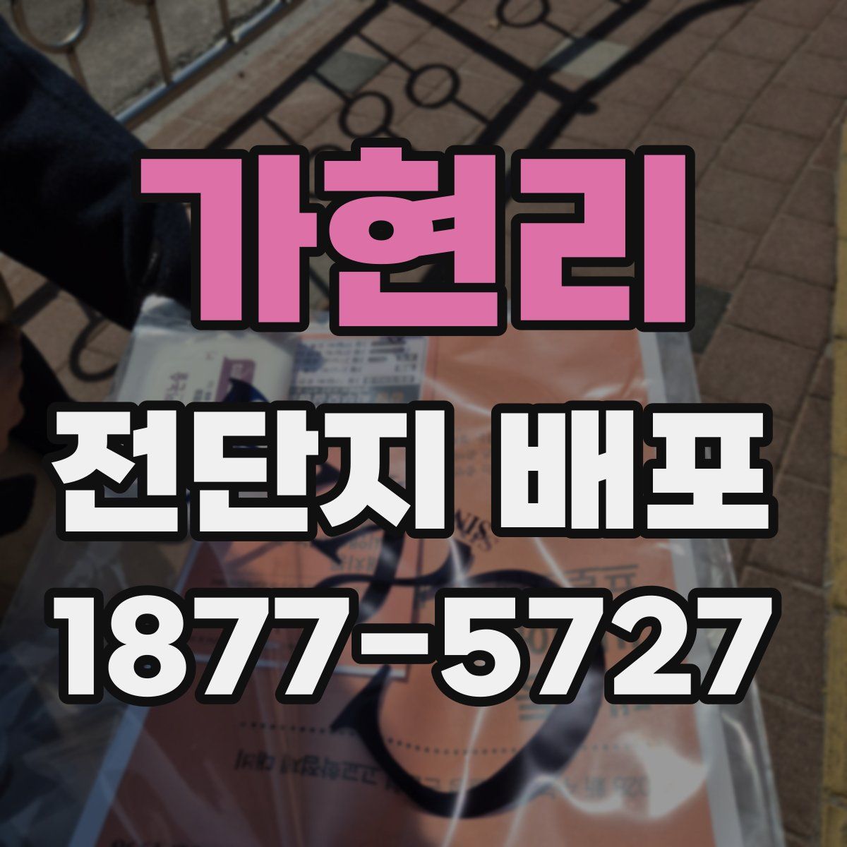 가현리 전단지 배포