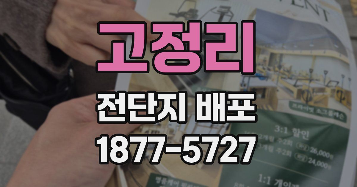 고정리 전단지 배포