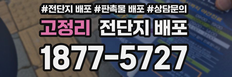 고정리 전단지 배포
