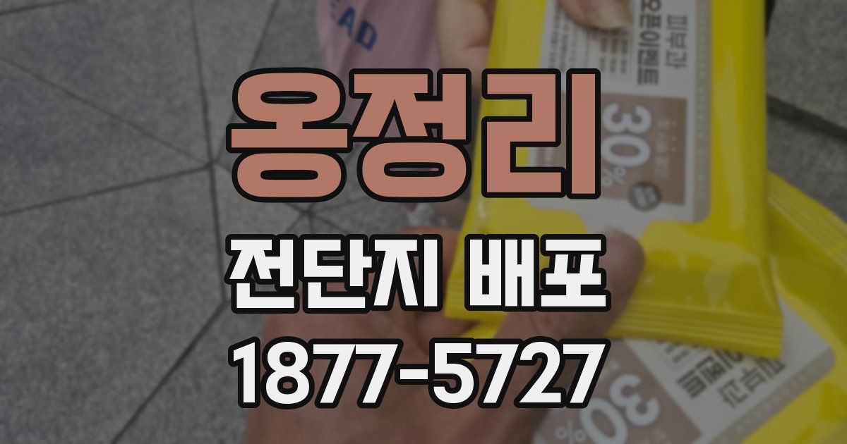 옹정리 전단지 배포