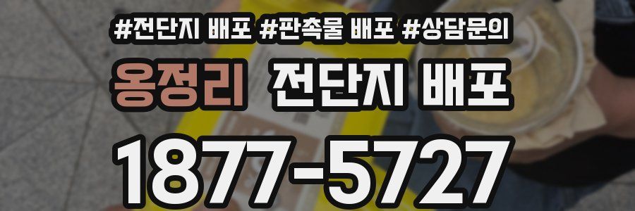 옹정리 전단지 배포
