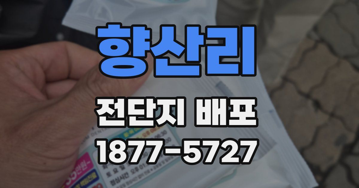 향산리 전단지 배포