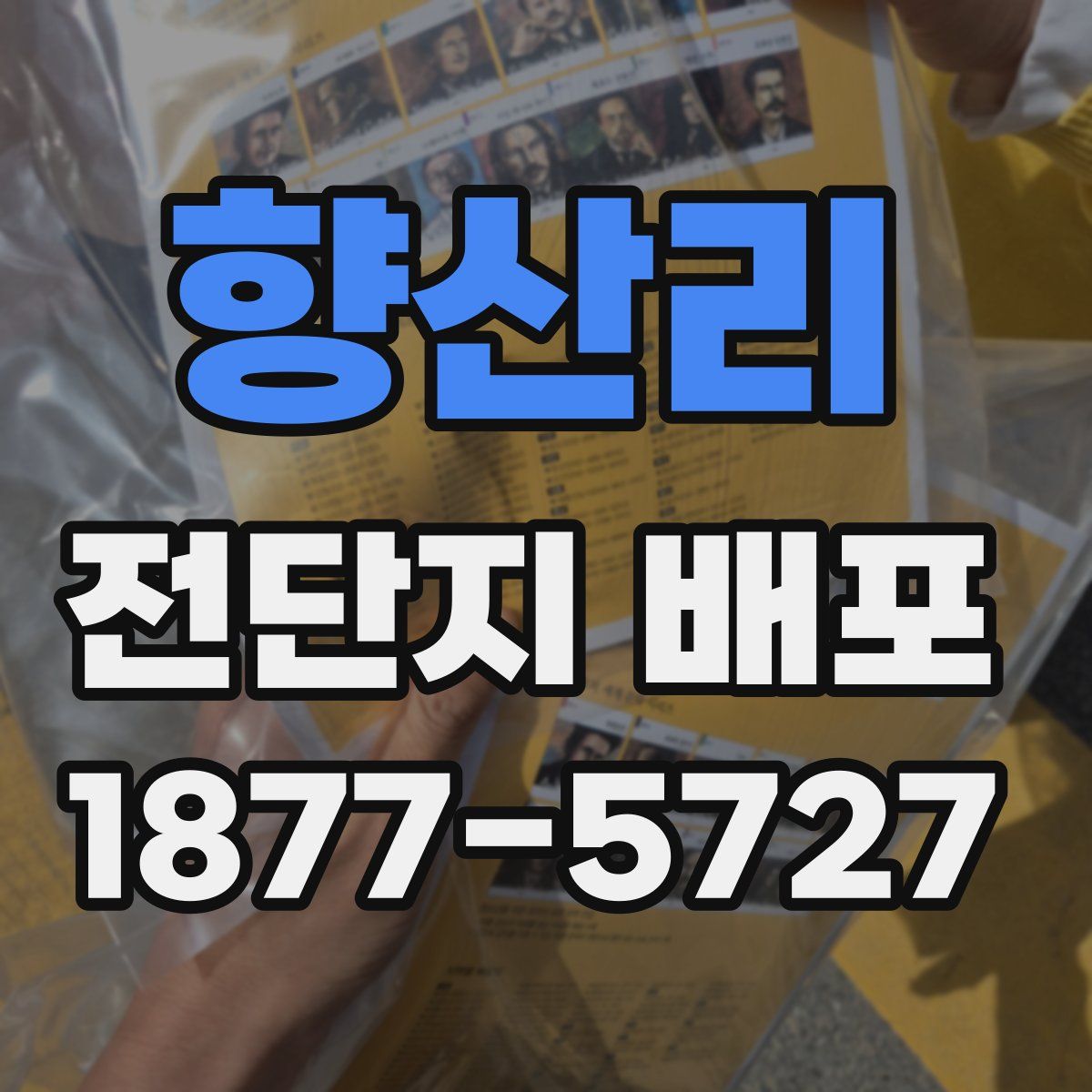 향산리 전단지 배포