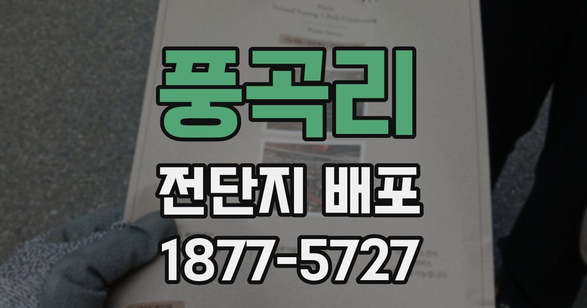 풍곡리 전단지 배포