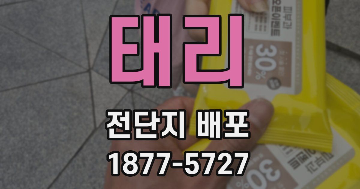 태리 전단지 배포