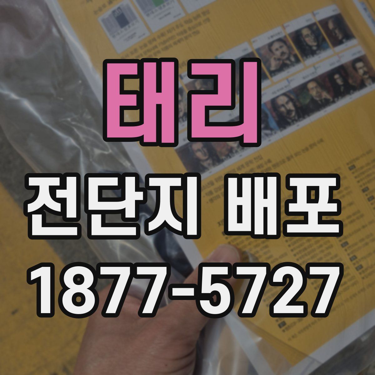 태리 전단지 배포