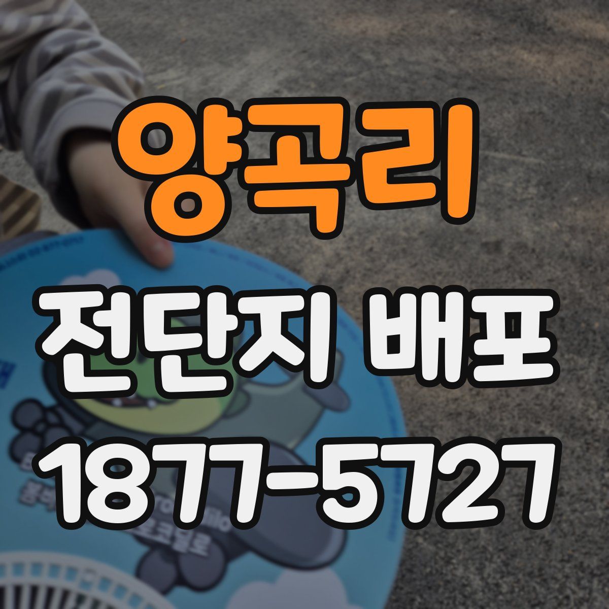 양곡리 전단지 배포
