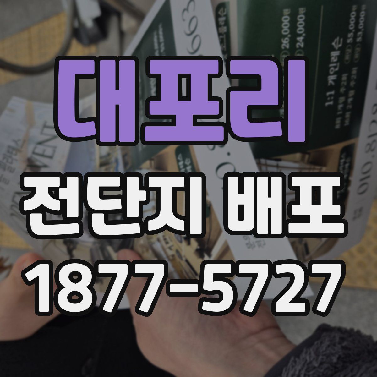 대포리 전단지 배포