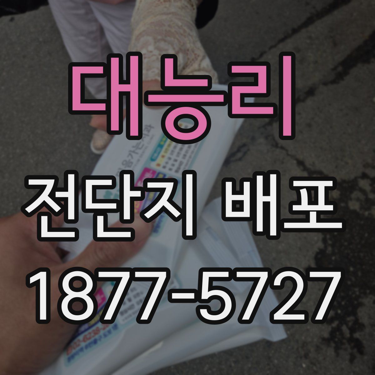 대능리 전단지 배포