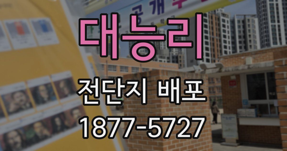 대능리 전단지 배포