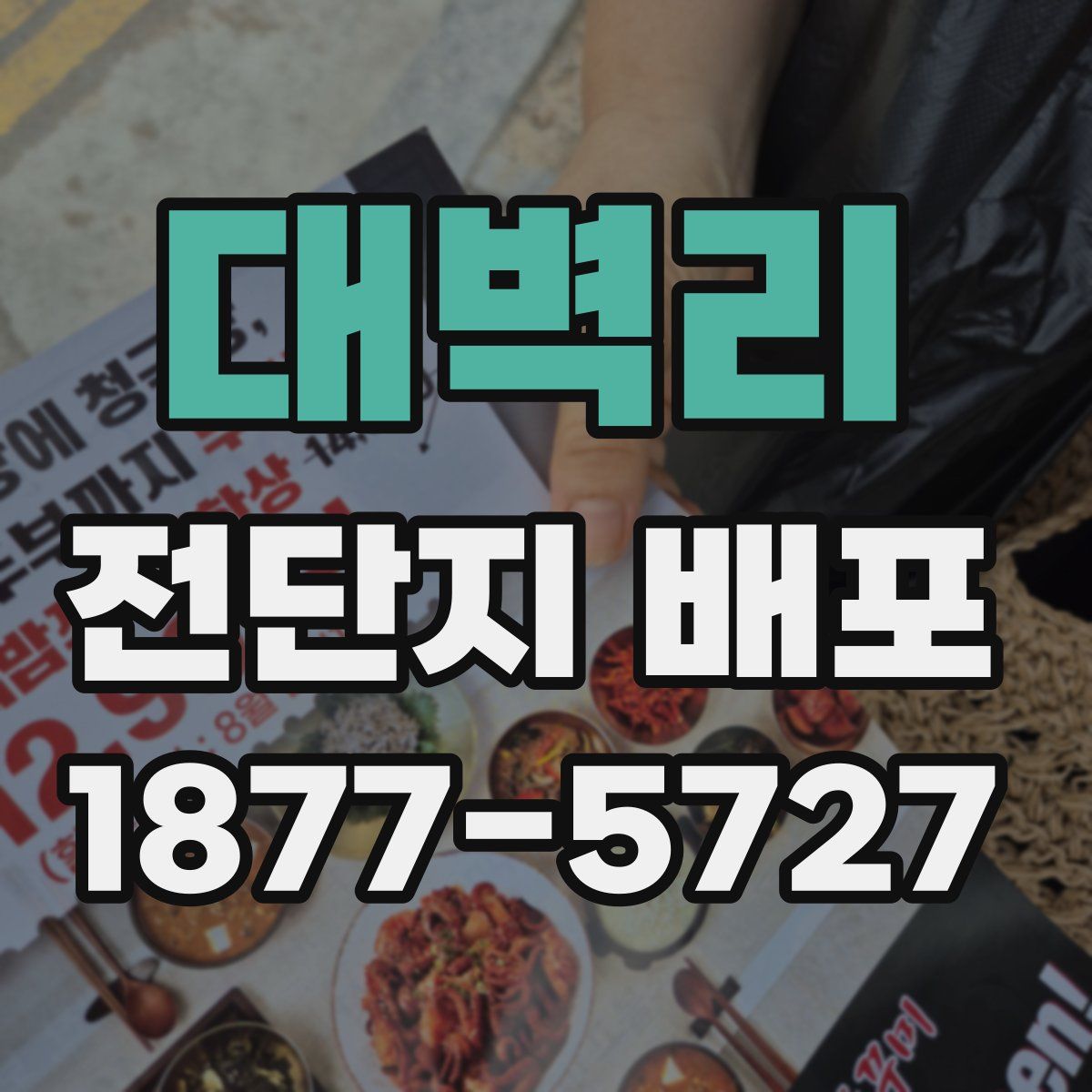 대벽리 전단지 배포