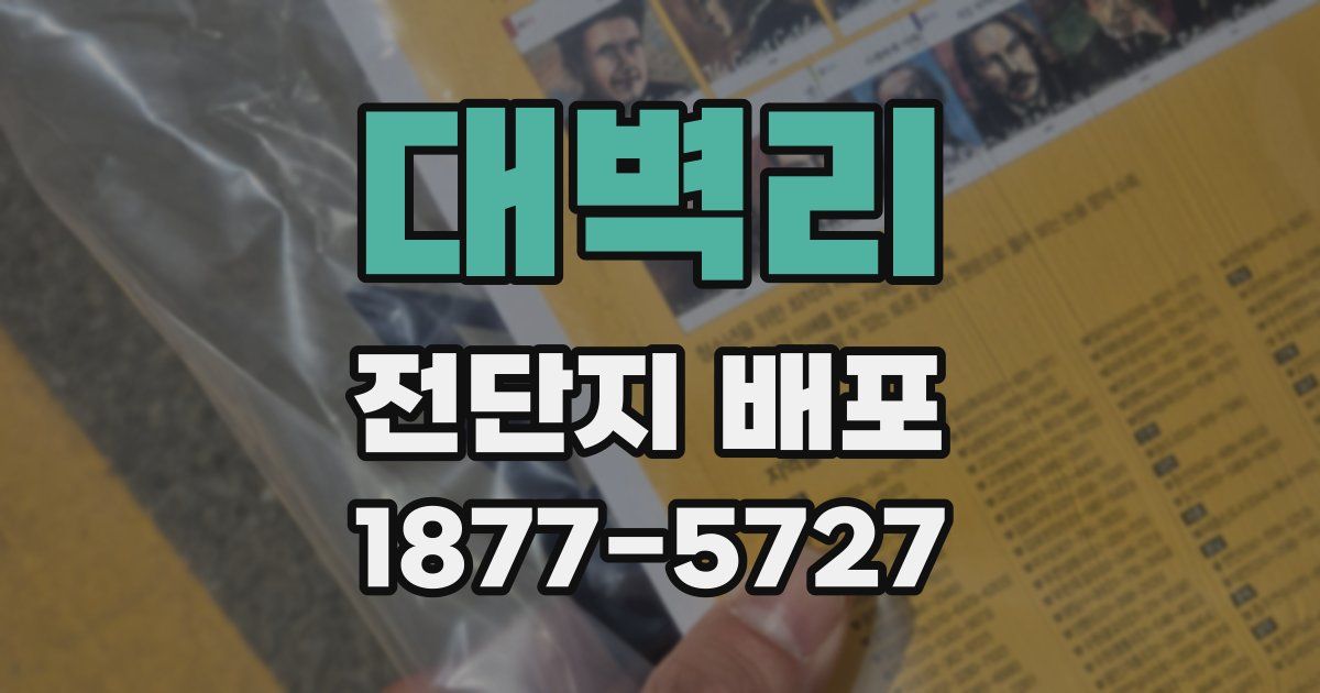 대벽리 전단지 배포