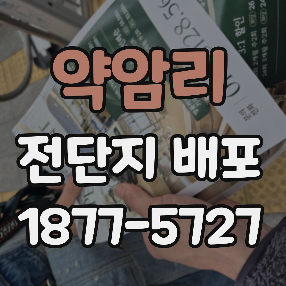 약암리 전단지 배포