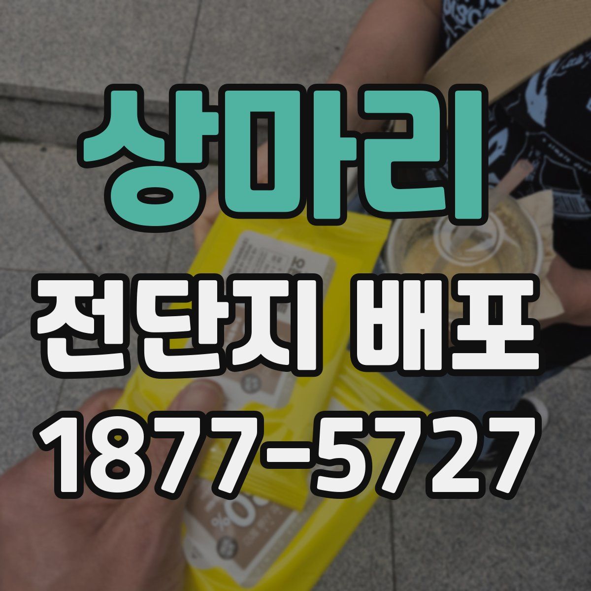 상마리 전단지 배포