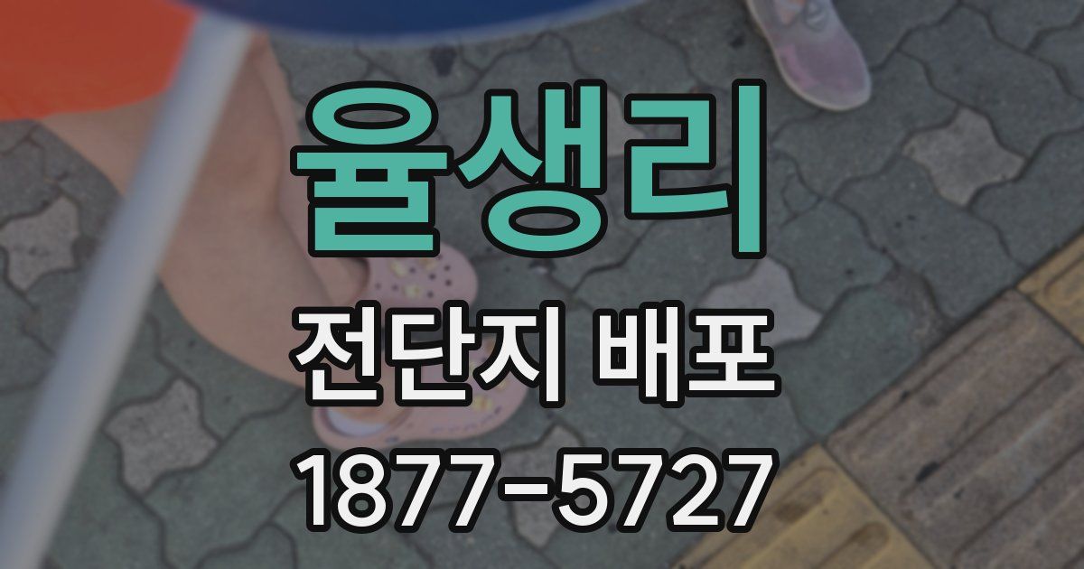 율생리 전단지 배포