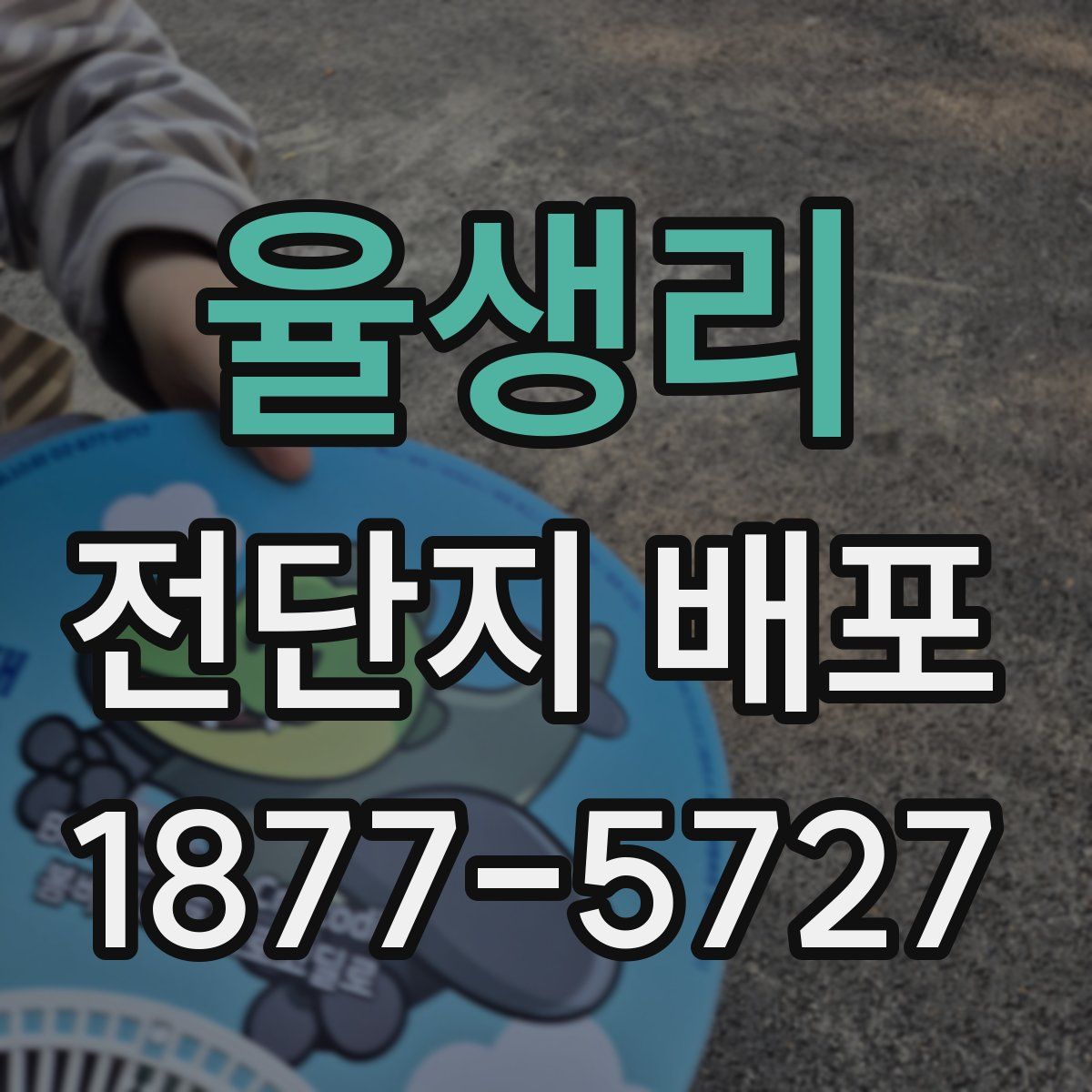 율생리 전단지 배포