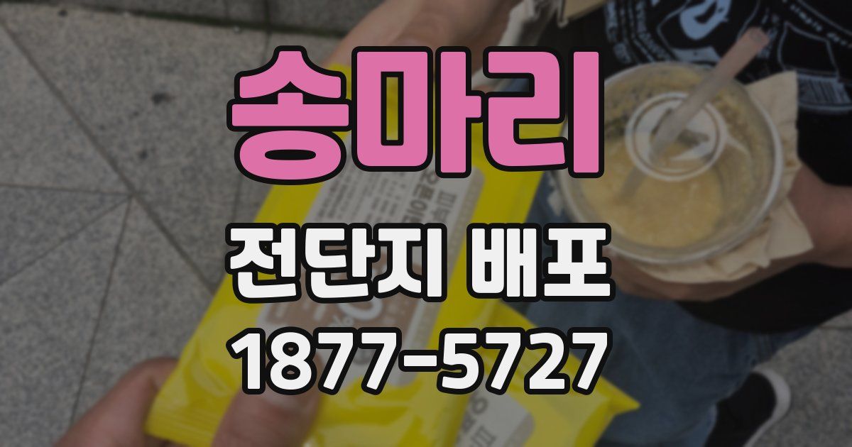 송마리 전단지 배포