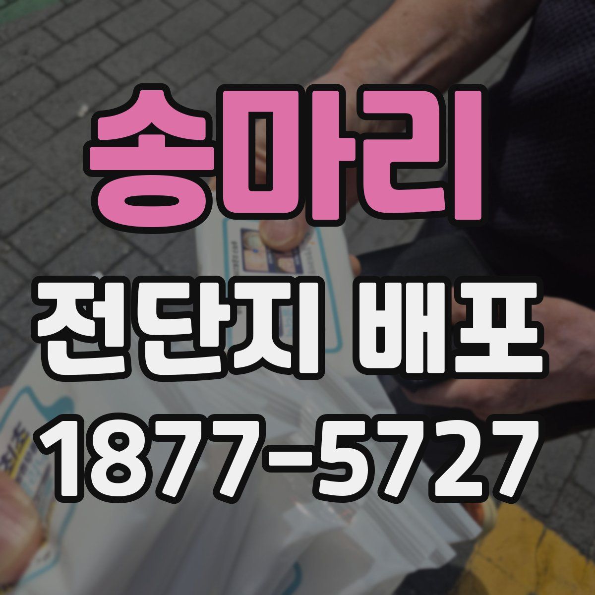 송마리 전단지 배포