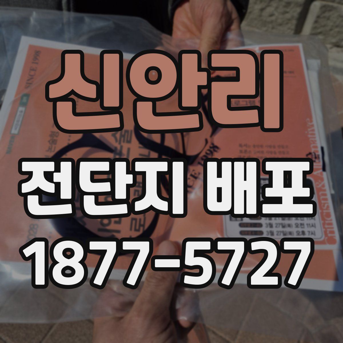 신안리 전단지 배포