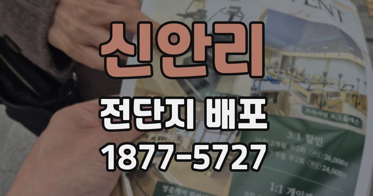 신안리 전단지 배포