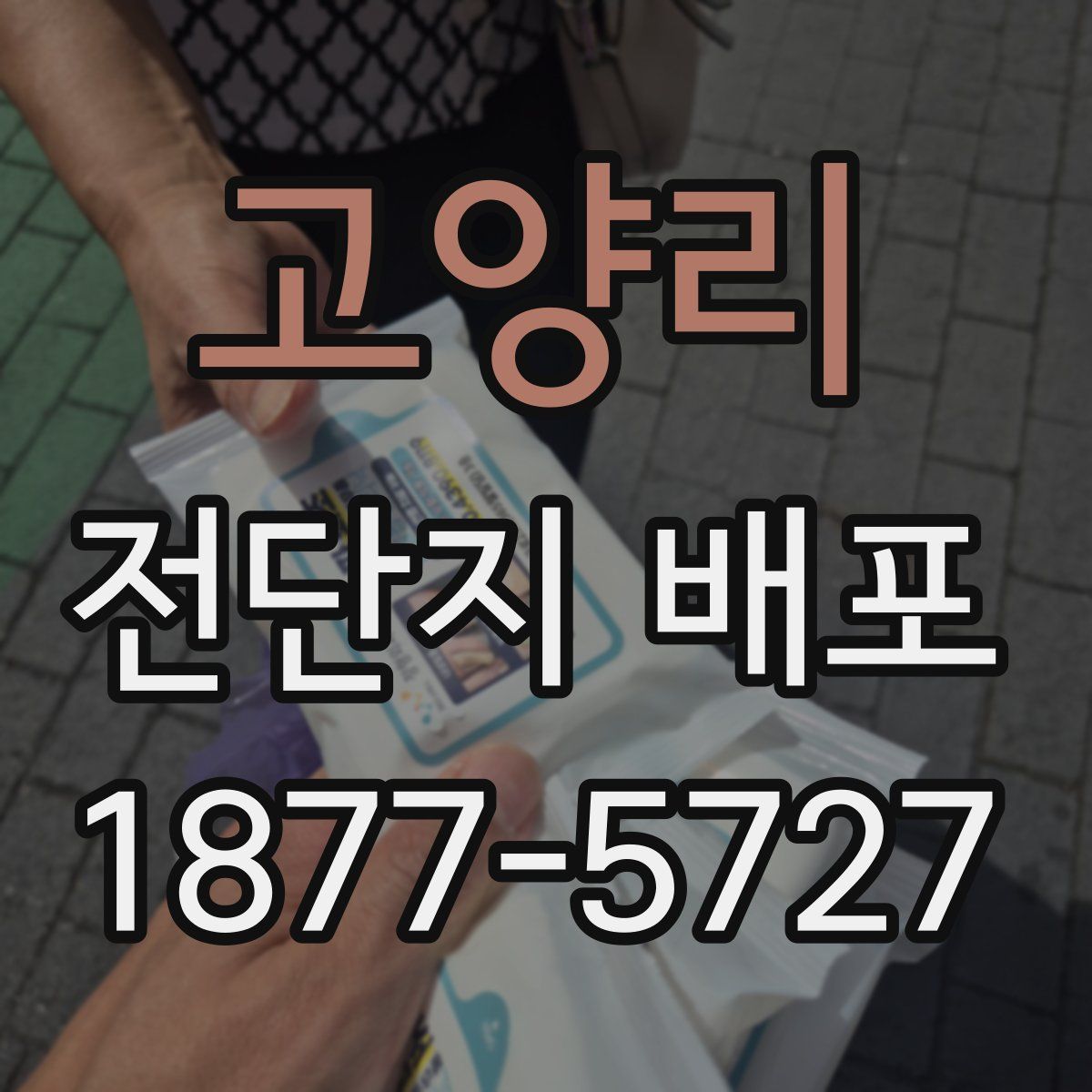 고양리 전단지 배포