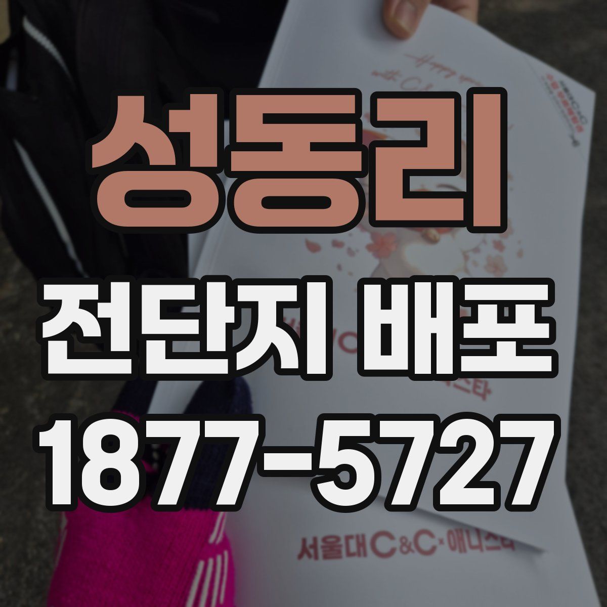 성동리 전단지 배포