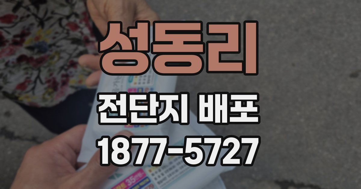 성동리 전단지 배포